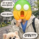 서해동물병원 이미지