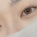 모도리뷰티 - 가평군 | 모도리뷰티