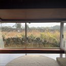 무릉차경 | 제주2일차) 연박안한걸 후회했던 제주독채감성숙소“무릉차경”(내돈내산)