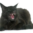 예뻐지냥 이미지