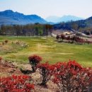 비고리조트 18 이미지