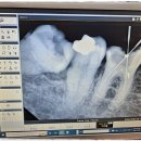 윤철민치과의원 이미지