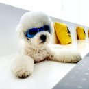 리츠펫 향남점 이미지