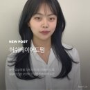 다윤헤어 - 남구 대명로21길 17 | 다윤헤어