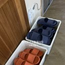 오르다게스트하우스 | 오르다하우스 [한라산게스트하우스추천, 한라산장비대여]