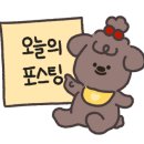 멍냥펀치 이미지