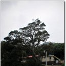 장지마을 이미지