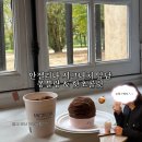 쁘띠헤어(salon de petit) | 베르사유궁전 정원 카페 안젤리나 몽블랑 핫초콜릿 가격 맛 솔직하게