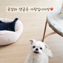 2공단5로 | [공지] (내돈내산) 양산 산막공단 카페 겟인커피 산막공단점 |치킨치킨·클래식 샌드위치 후기