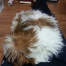 중구보건지소 이미지