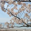 낭만 태양광발전소 이미지