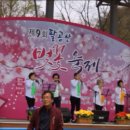 2017 벚꽃축제 율하 유정천리 이미지