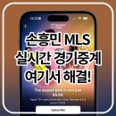 식스맨 | 손흥민 LAFC 경기 일정과 중계 시청 방법 완벽 정리 (2025 최신)
