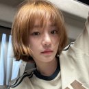카멜레온미용실 | 생얼 살려주는 골드브라운 염색 대성공 후기세종미용실 어진동미용실 | 아이디헤어세종소담 미소실장