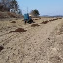 가야농원 이미지