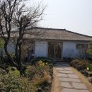 제주도 나혼자 여행기 제주혼저옵서예