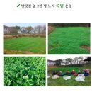청결떡방앗간 이미지