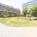 다인로얄팰리스배곧1차 이미지