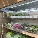 오정농장 이미지