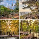 순환로 405번길 이미지