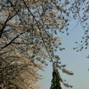 능북초등학교 이미지