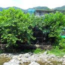 베뉴지CC 이미지