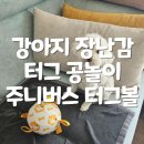 주니버스 | 강아지 장난감 터그놀이 축구공 주니버스 터그볼