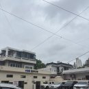 우쭈쭈 내강아지 | [부산/수영구] 망고빙수 맛집 분위기 좋은 애완동반 카페 "수영뜰" 후기