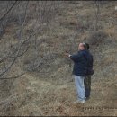 진달래농장 이미지