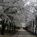 관문체육공원 이미지