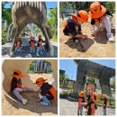 지역사회연계활동-공룡발자국공원 이미지