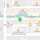 네코스토리 (서울 본점) 고양이 무료 분양 이미지