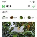 금성관/목사내아 이미지