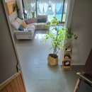 강릉독채펜션 달빛천사 | 강릉독채펜션 달빛천사 강릉 가족여행 후기 강릉 온수풀 숙소 추천