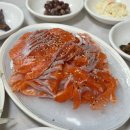 황금 | 제천 맛집 청풍호 근처 청풍황금송어 후기