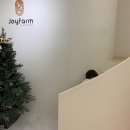 세븐일레븐용봉어울림점 이미지