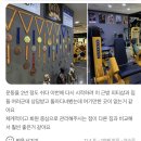 백석PT모티플짐 이미지