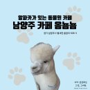 [남양주/카페] 동물원카페 옴뇸뇸 주말 방문 내돈내산 솔직 후기