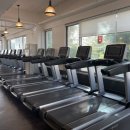 데일리 휘트니스 이미지