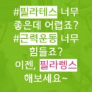 제이필라피티