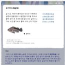 거제갈곶 이미지