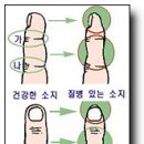 손의 건강 [ 열 둘__ ]..^^ 이미지