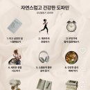 제주일상 네이버블로그