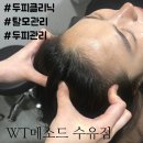 용신65 | [수유/에스테틱] WT메소드 수유점_수유두피클리닉 탈모관리 두피관리 지루성두피염 헤드스파 찐후기!