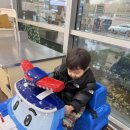 로니의 기차 이미지