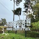 안중레포츠공원 네이버블로그