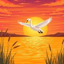 백조농장 이미지