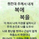 미쵸미쵸 이미지