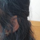 포낙보청기 대구센터 이미지