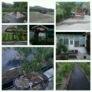 논일농장 이미지